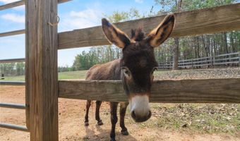 1778 White Rd, Camden, SC 29020