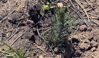 Off Hicks Road Lot 3, Bly, OR 97622