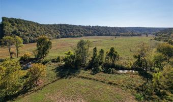 4495 County Road 405, Alton, MO 65606