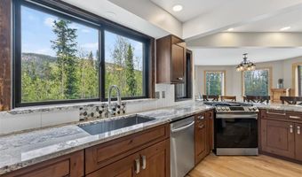 366 Quartzville Rd, Alma, CO 80420