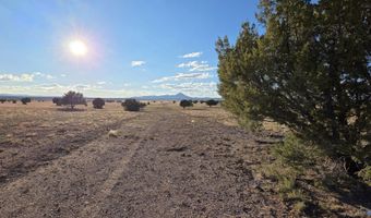 293 294 Arizona Rd, Ash Fork, AZ 86320