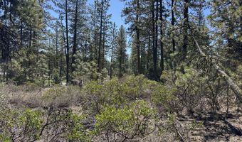 Horned Owl Way 385461, Bonanza, OR 97623