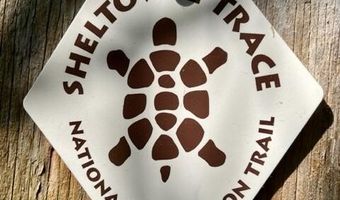 Coperas Cave Branch, Beattyville, KY 41311