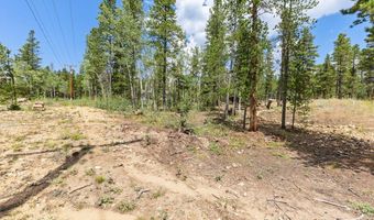 20 Paint Brush Dr, Black Hawk, CO 80422