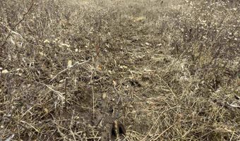 652 Nd St, Albia, IA 52531