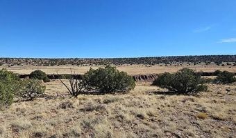 000 N8441, Concho, AZ 85924