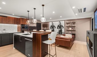 725 E Durant Ave 22, Aspen, CO 81611