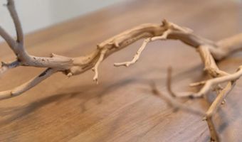 3960 Plateau Pl, Carlsbad, CA 92010