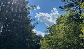 272 Church Camp Rd, Bishopville, SC 29010