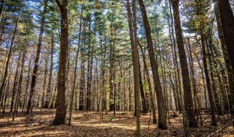 Lot 33 S Badger Lane, Arkdale, WI 54613