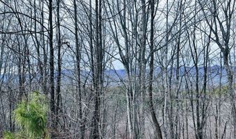 1441 Valley View Heights Ln Lot 3, Andrews, NC 28901