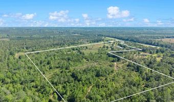 39207 State Highway 59, Bay Minette, AL 36507