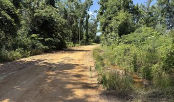 Lot # 1 - 6.2 Ac Perry Horton, Adrian, GA 31002