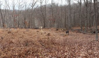 Route 12 Road, Alum Creek, WV 25003
