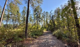 TBD Binnicker Bridge Road, Bamberg, SC 29003