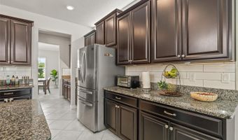 3212 CALVANO Dr, Land O Lakes, FL 34639