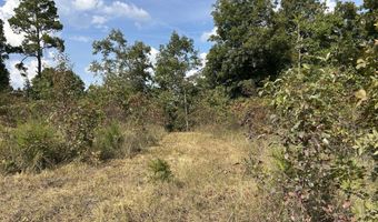 Hc 73 Box 4925 Track 20, Ava, MO 65608