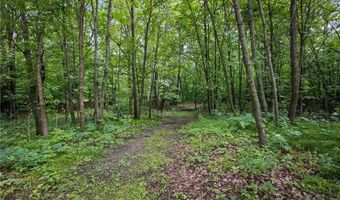 615 Woodsmen Dr NE, Alexandria, MN 56308