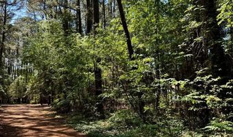 FOLLY CREEK CLUB LN lot 19, Accomac, VA 23301