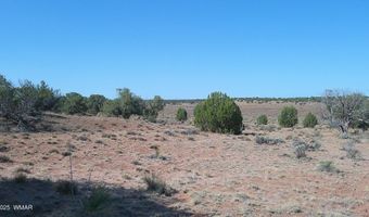 Tbd Wicked Sisters Way 38ac, Concho, AZ 85924