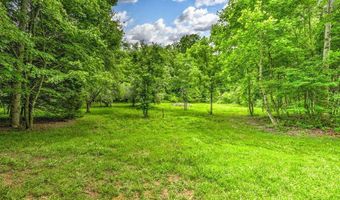 Stone Ridge Drive, Andersonville, TN 37705