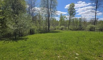15252 27 Mile Rd, Albion, MI 49224