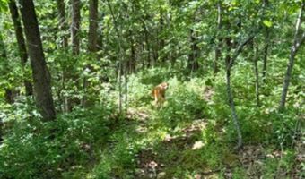 4955 S 40th Rd, Aldrich, MO 65601