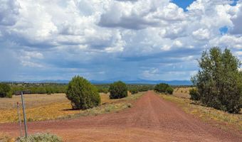 215 Gleed Station Rd Lot A 10 Acre, Ash Fork, AZ 86320