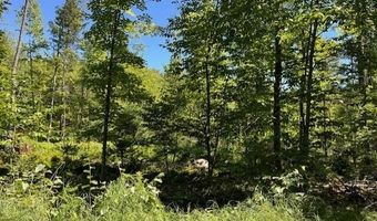 Sawyer Notch Road lot 045, Andover, ME 04216