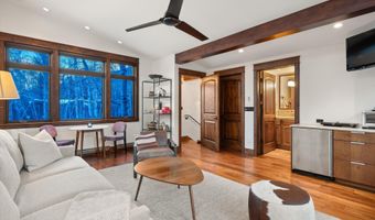 1345 Mayflower Ct, Aspen, CO 81611