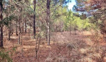 S Waller Rd, Bald Knob, AR 72010