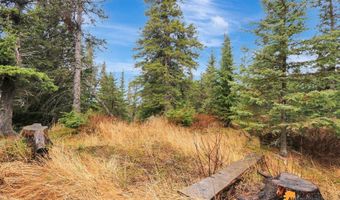 17520 Snow Crest Ln, Anchorage, AK 99516