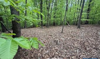 3220 SPOTSWOOD Trl Lot 5, Barboursville, VA 22923