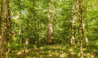 235 Woodrow Martin Rd, Brandon, MS 39042