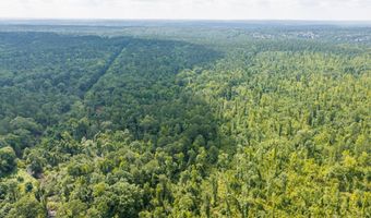 Burks Mountain Road, Appling, GA 30802