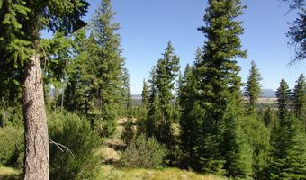 Skunk Creek Road, Cascade, ID 83611