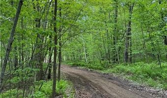Xxxxx 299th Place, Aitkin, MN 56431