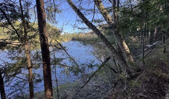 V/L Wildwood Road lot 9, Alger, MI 48610