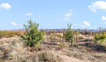 6555 E Foresight Rd, Sahuarita, AZ 85629