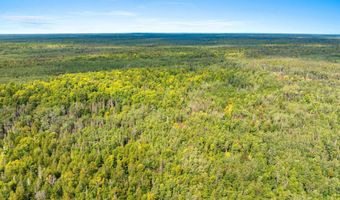 Double Bend Road, Argonne, WI 54511