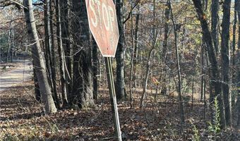 33 Eagle Rdg, Ball Ground, GA 30107