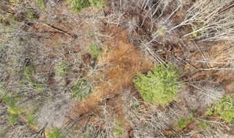 2701 Roses Branch Rd, Bakersville, NC 28705