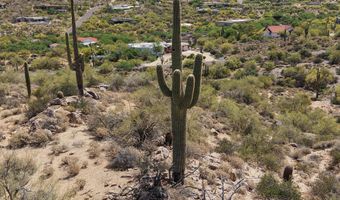 37156 N CAREFREE Dr 6, Carefree, AZ 85377