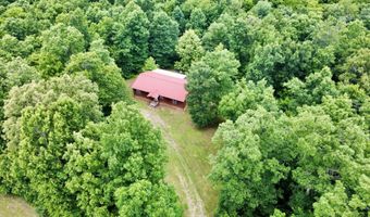 951 E County Road 206, Alton, MO 65606