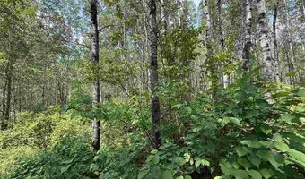 TBD Samuelson Road - Sec 15, Angora, MN 55703