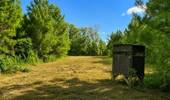 SW Auburn Drive, Bogue Chitto, MS 39629