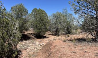 202 Cooks Trl, Ash Fork, AZ 86320