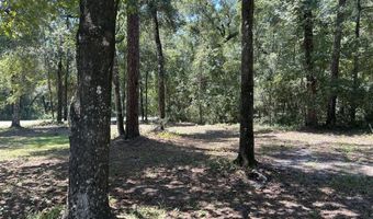 2653 MYRTLE Loop, Middleburg, FL 32068