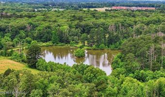 Vine Drive, Brandon, MS 39047