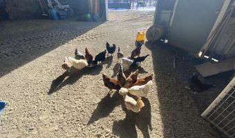 918 ROAD 4990, Bloomfield, NM 87413